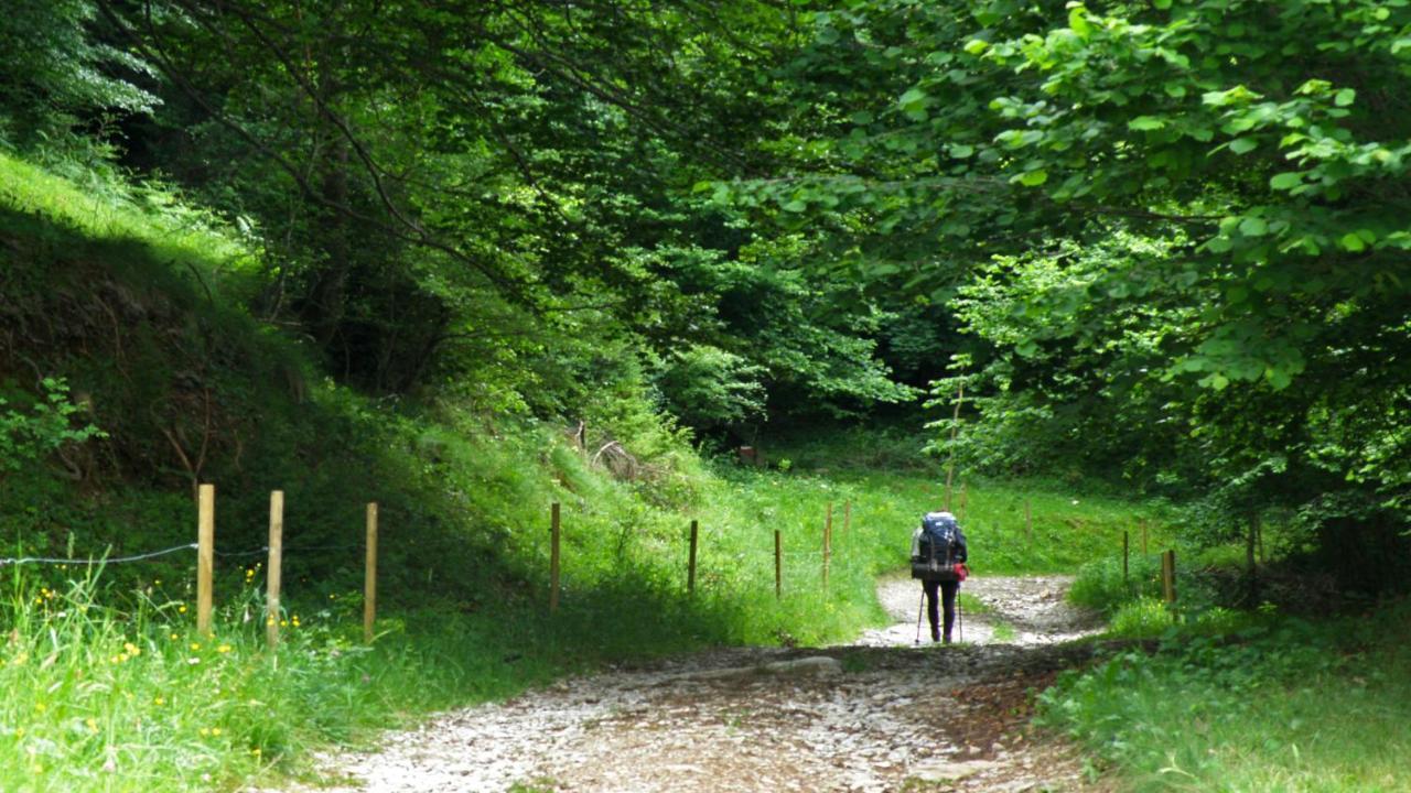Nitu Сasa de vacaciones Camprodon